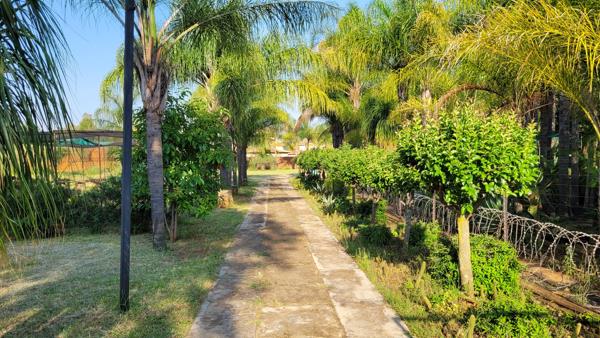 3.4 ha Smallholding