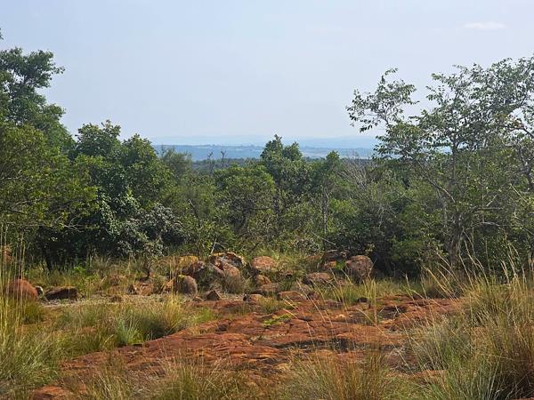 1.2 ha Land
