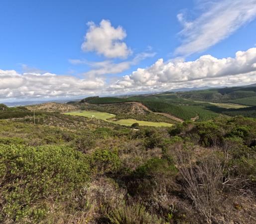 4 272 m² Land