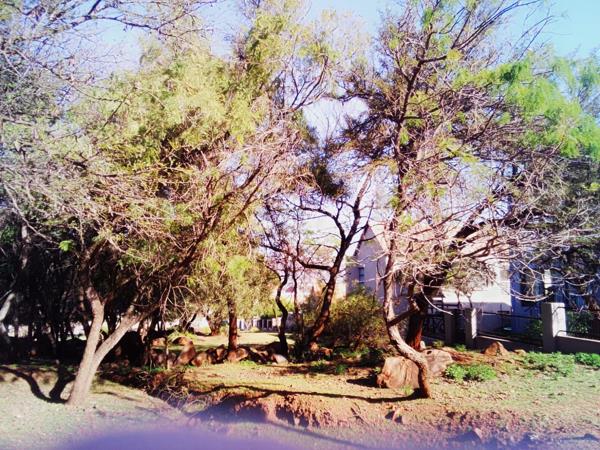 917 m² Land
