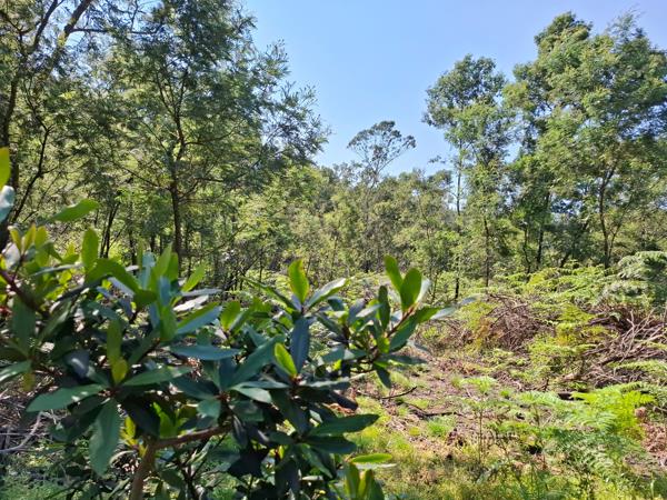 1 468 m² Land