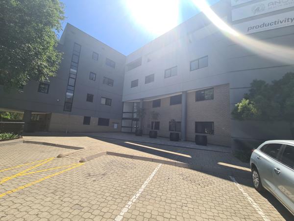 261.6 m² Commercial space