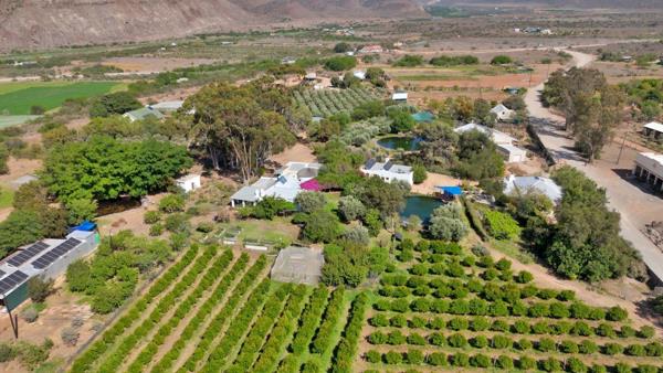 8 ha Commercial Farm