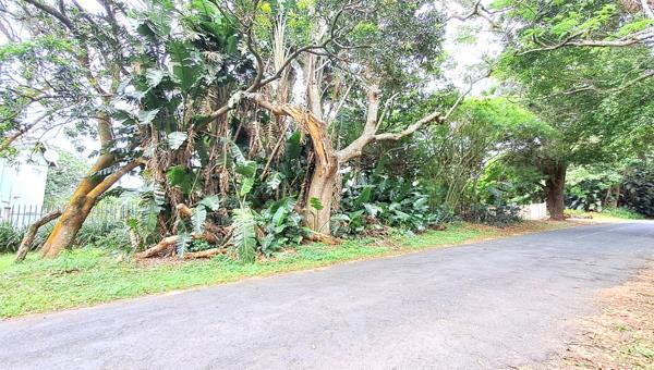 1 010 m² Land