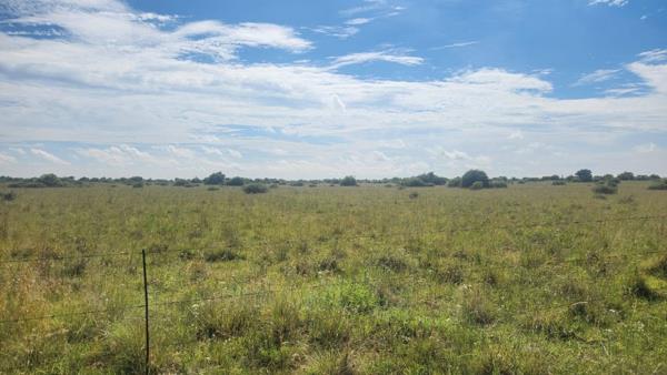 526.6 ha Farm
