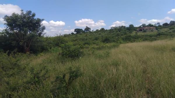 1 ha Commercial Farm