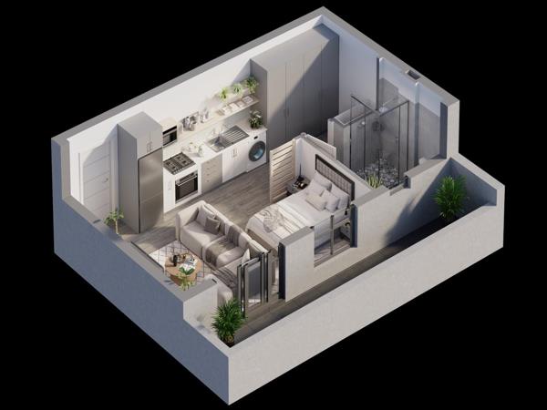 1 Bedroom Apartment
