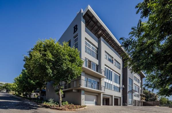 244 m² Office Space