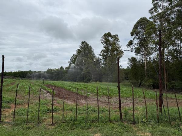 164 ha Agricultural Holding