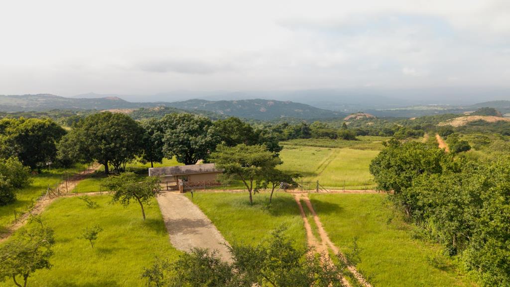1 ha Land