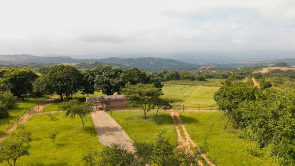 1 ha Land