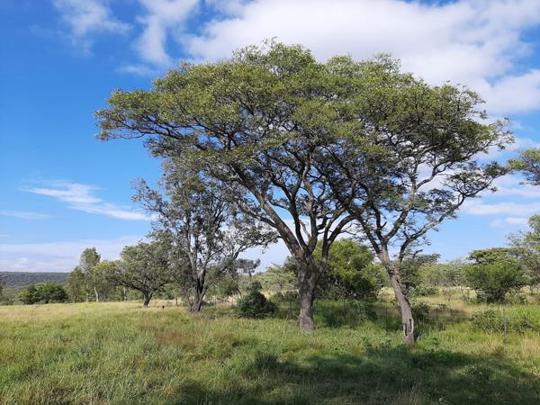 32 ha Land