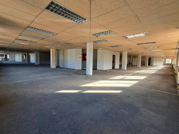 1 043  m² Office Space