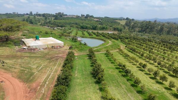 24 ha Farm