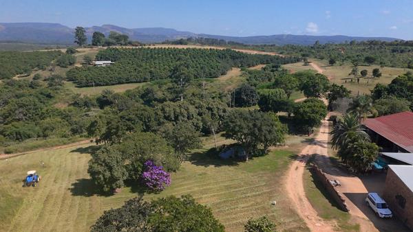 265 ha Farm