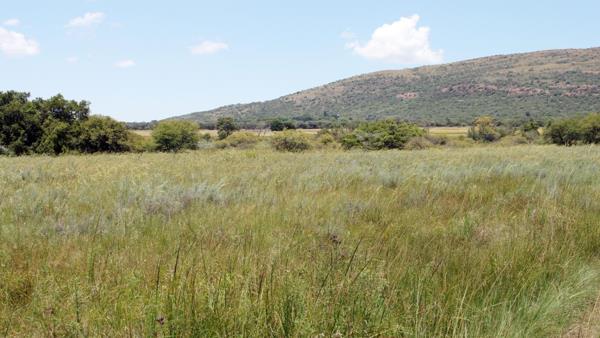 145 ha Farm