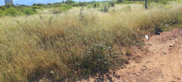 40 444  m² Industrial space