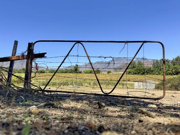 122 ha Farm with House