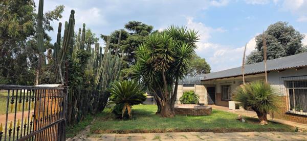 5 000 m² Commercial Farm