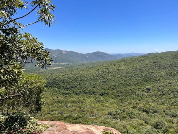 673 ha Farm with House