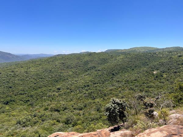 673 ha Farm with House