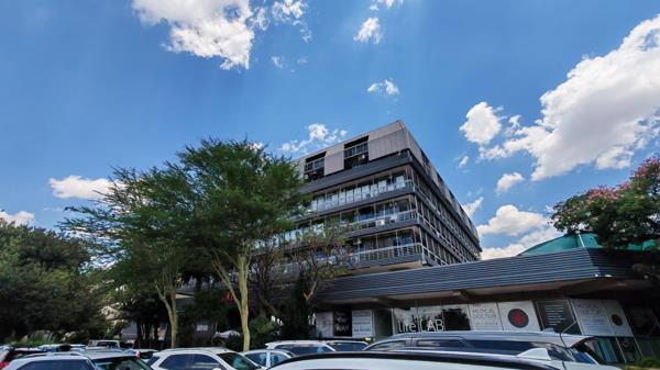 250  m² Office Space