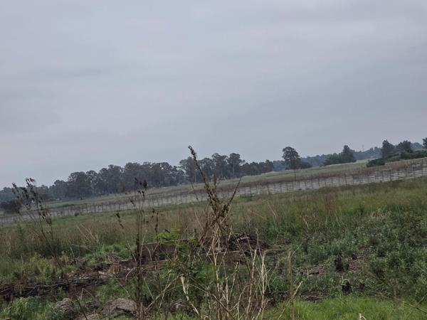 8 ha Commercial Farm