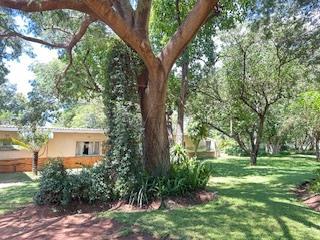 8.6 ha Smallholding