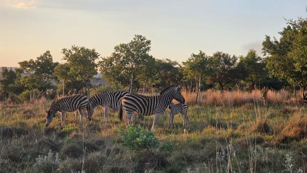 690 m² Land
