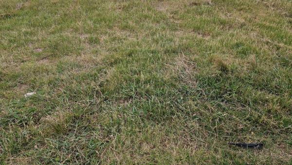 690 m² Land