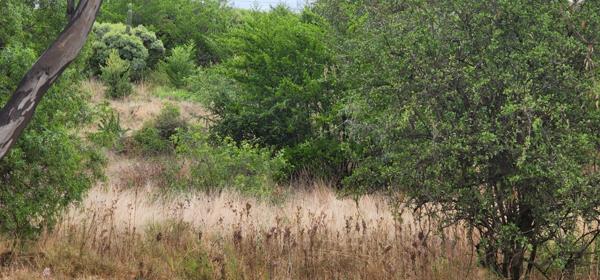 1 645 m² Land