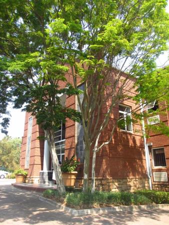 64 m² Office Space