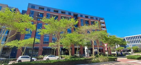 118  m² Office Space