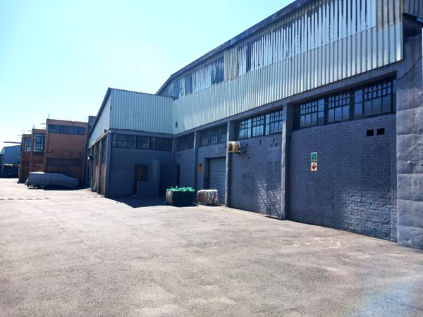 600 m² Commercial space
