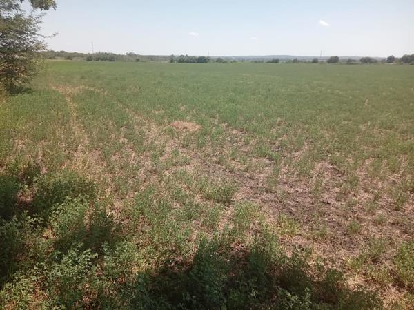 10 ha Farm