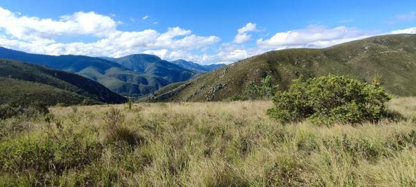 300 ha Farm