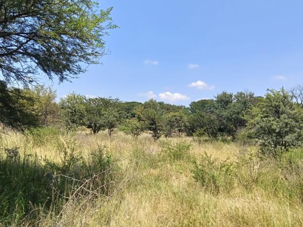 29 ha Farm
