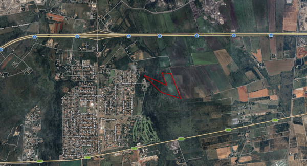 15.3 ha Farm