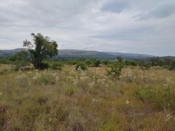 2.1 ha Land