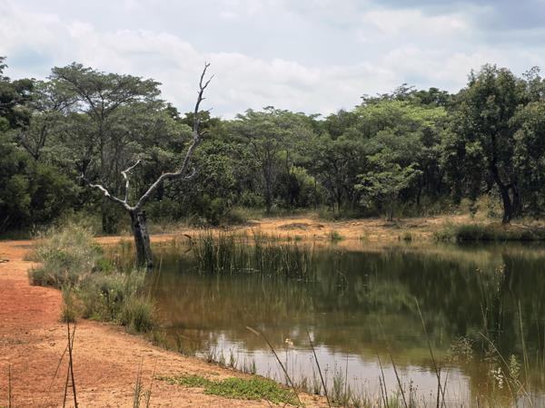 143.4 ha Farm