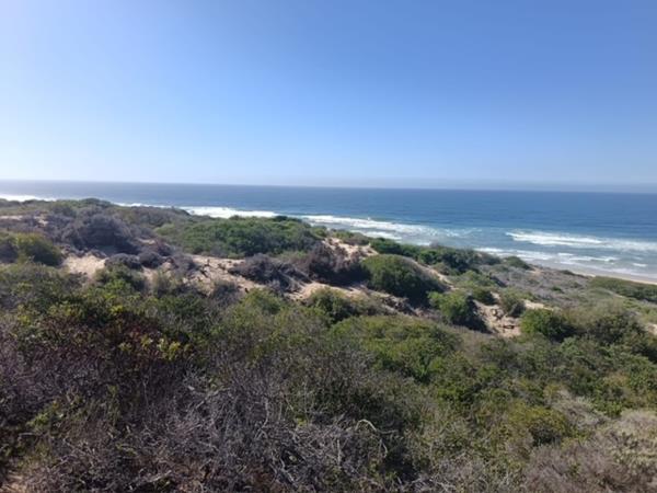 4 331 m² Land