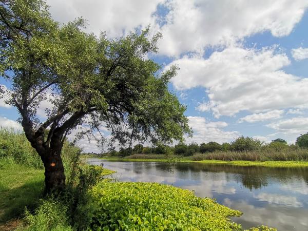 22.5 ha Land