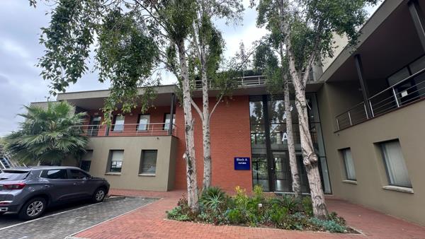 242 m² Office Space