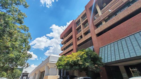 238 m² Office Space