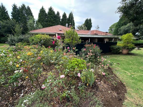 19.6 ha Smallholding