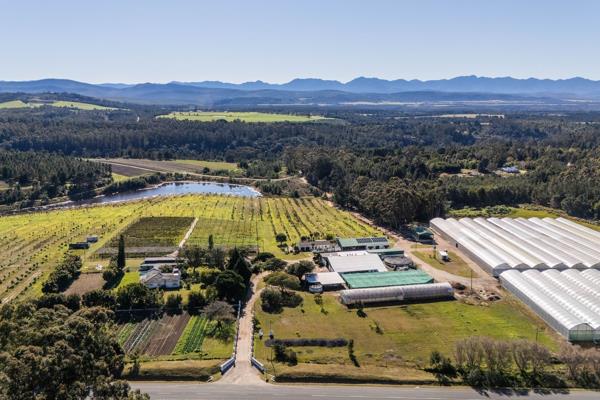 79.8 ha Farm with House