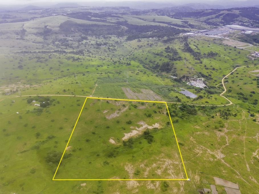 21.5 ha Smallholding