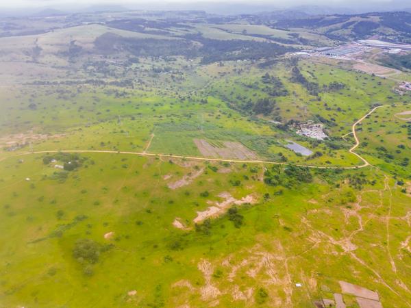 21.5 ha Smallholding