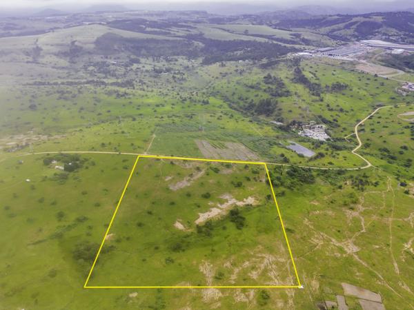 21.5 ha Smallholding