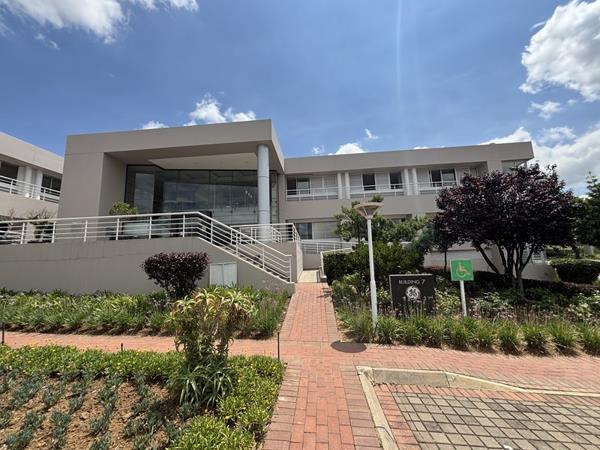 559 m² Office Space